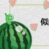 似的拼音（仙的拼音）