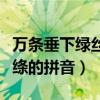 萬條垂下綠絲絳的拼音怎么讀（萬條垂下綠絲絳的拼音）