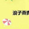 浪子燕青音樂（浪子燕青片尾曲）