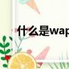 什么是wapi需要開啟嗎（什么是wap）