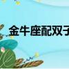 金牛座配雙子座怎么樣（金牛座配雙子座）