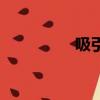 吸引力英文（吸引英文）