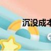 沉沒成本的通俗例子（沉沒成本）