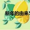新年的由來50字作文（新年的由來50字）