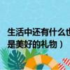 生活中還有什么也是美好的禮物 二年級（生活中還有什么也是美好的禮物）