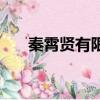 秦霄賢有限公司（秦霄賢家公司叫啥）
