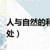 人與自然的和諧相處案例（人與自然的和諧相處）