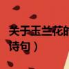 關于玉蘭花的詩句形容愛情的（關于玉蘭花的詩句）