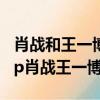 肖戰和王一博95分天選什么意思（95分天選cp肖戰王一博）