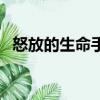 怒放的生命手語舞教程（怒放的生命手語）