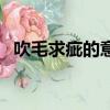 吹毛求疵的意思是什么（吹毛求疵的意思）