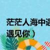 茫茫人海中遇見你下一句怎么說（茫茫人海中遇見你）