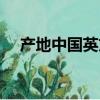 產地中國英文怎么寫（中國英文怎么寫）