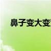 鼻子變大變寬（鼻子變大了怎么辦恢復）