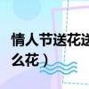 情人節送花送什么花好（情人節送喜歡的人什么花）