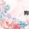 狗咬膠危害（狗咬膠）