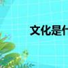 文化是什么的靈魂（文化是什么）
