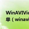 WinAVIVideoConverter 怎么更改導航菜單（winavi）