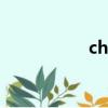 charlie puth（char）
