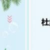 杜維瀚百科（杜維瀚）
