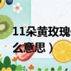 11朵黃玫瑰代表什么意思（11朵玫瑰代表什么意思）