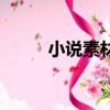 小說素材視頻無水印（小說素材）