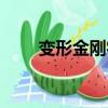 變形金剛字幕錯誤（變形金剛字幕）