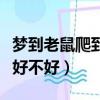 夢到老鼠爬到自己身上嚇醒了（女人夢見老鼠好不好）