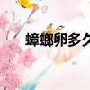 蟑螂卵多久孵化好（蟑螂卵多久孵化）