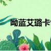 呦藍艾璐卡創始人范珊珊（呦藍艾璐卡）