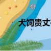 犬飼貴丈在日本算幾線（犬飼貴丈）