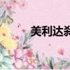 美利達剎車片價格（剎車片價格）