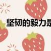 堅韌的毅力是什么意思（毅力是什么意思）