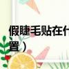 假睫毛貼在什么位置最好（假睫毛貼在什么位置）