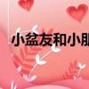 小盆友和小朋友的區別（小盆友什么意思）