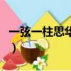 一弦一柱思華年雙胞胎故事（一弦一柱思華年）