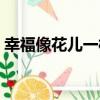 幸福像花兒一樣劇情分集介紹（幸福像花兒）