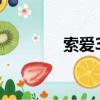 索愛38s收音機（索愛380）