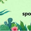 spotty怎么讀（spotty）