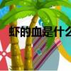 蝦的血是什么顏色（蚯蚓的血是什么顏色）