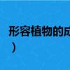 形容植物的成語大全四個字（形容植物的成語）