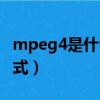 mpeg4是什么格式的文件（mpeg4是什么格式）