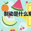 制動是什么意思車上的（制動是什么意思）