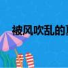 被風吹亂的夏天 小說（被風吹亂的夏天）