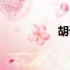 胡諾言微博（胡諾言）