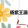楊紫王源的電視劇（王源的電視劇）