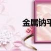 金屬鈉平時必須保存在（金屬鈉）