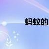 螞蟻的故事繪本（螞蟻的故事）