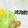 鴻溝的意思解釋（鴻溝的意思）