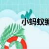 小螞蟻編輯器（螞蟻金卡是什么）